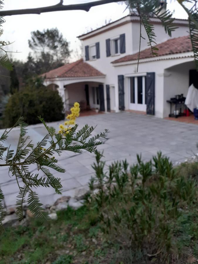 La Lavande Bleue Le Luc Esterno foto